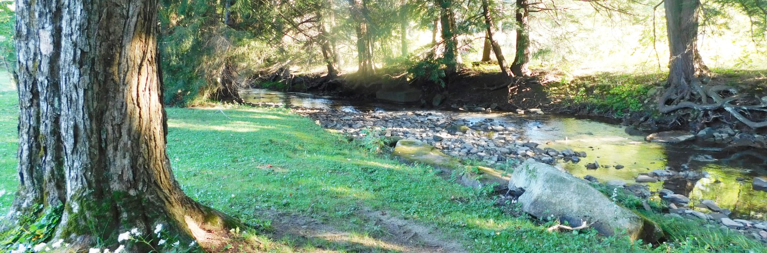 camps and land for sale in pennsylvania Camps and Land for Sale in Pennsylvania